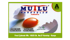 KONVEYÖR LADES BANT, KONVEYÖR TESTERE BANT, KONVEYÖR DÜZ BANT, RULO HAYVAN YATAĞI, ZEMİN KAPLAMA LASTİĞİ, PARÇA KONVEYÖR BANT